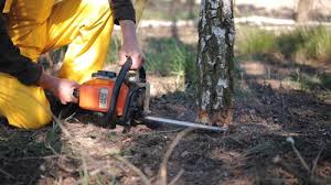 Best Aeration Services  in Bishop, TX