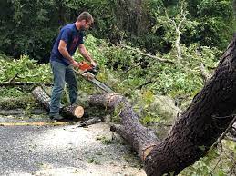 Best Commercial Tree Services  in Bishop, TX